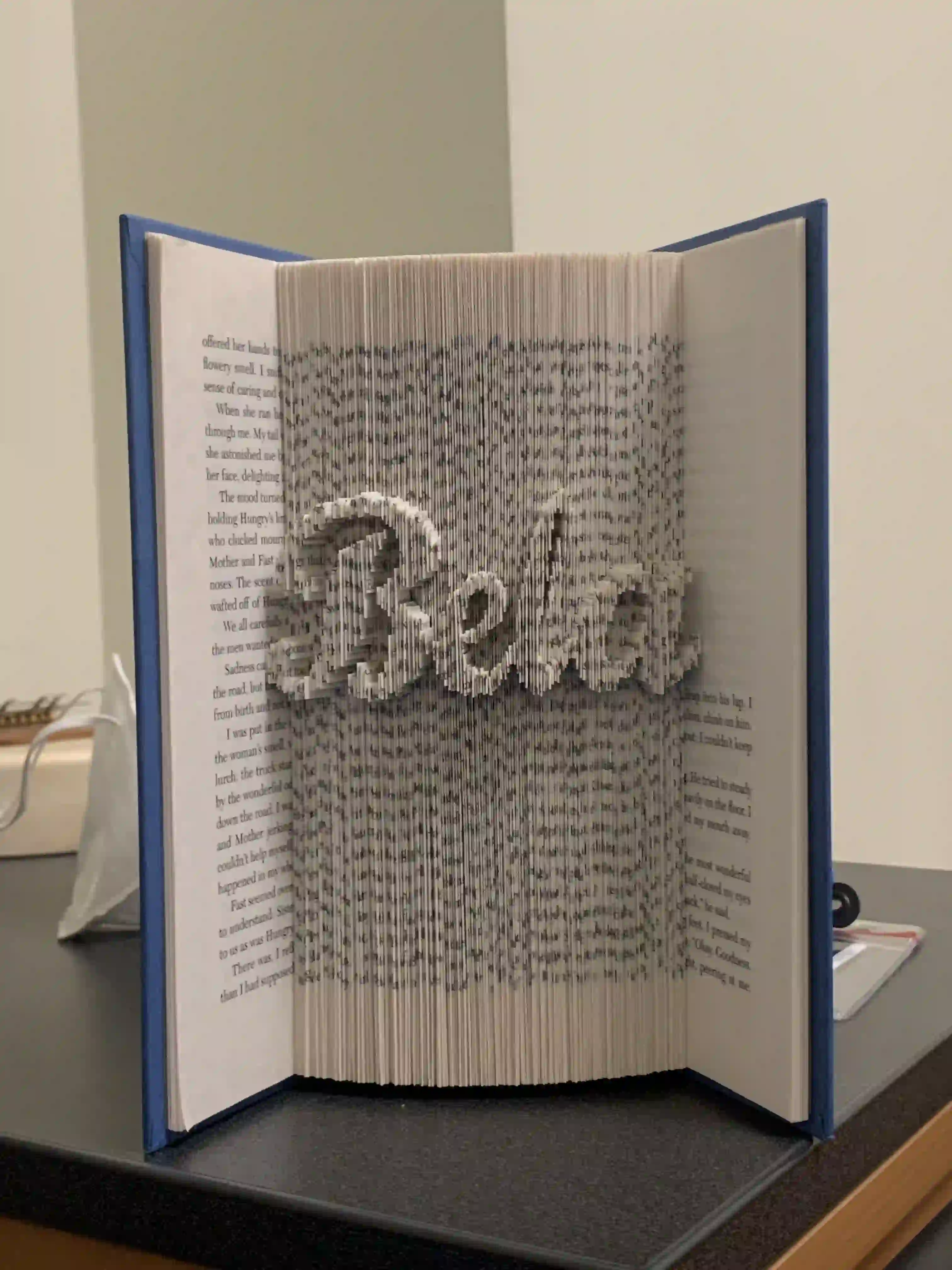 Book Fold