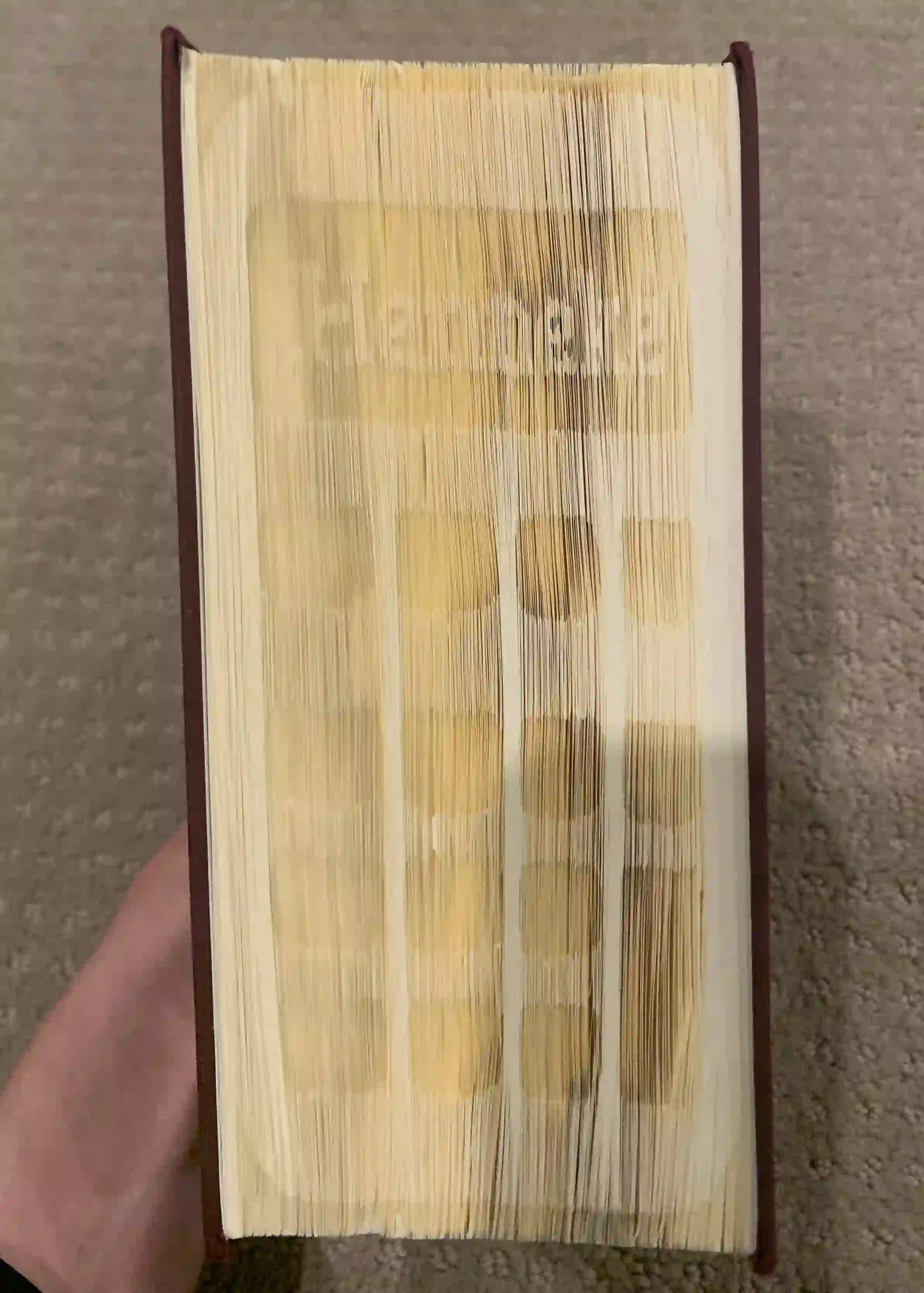 Book Fold