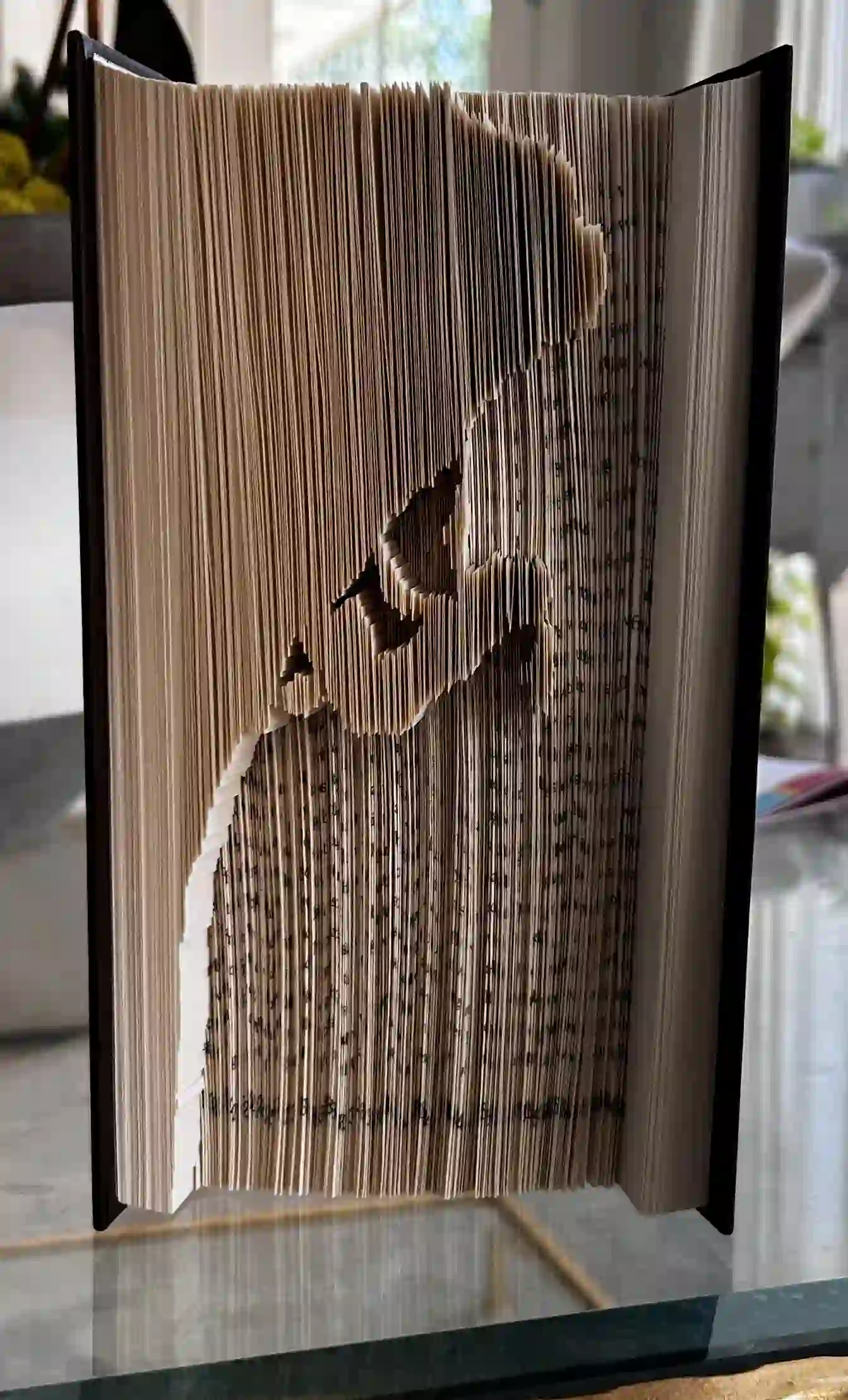Book Fold